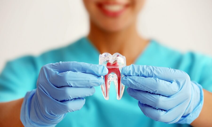 Endodontia em Moema Dentistas Endodontistas
